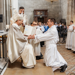 Diakonenweihe 2024 / Erzdiözese Wien/ Schönlaub