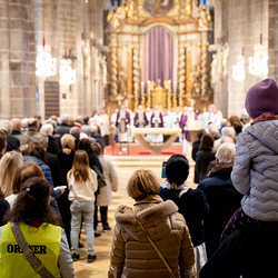 Bischofsprimizmesse Perchtholdsdorf / Erzdiözese Wien/Schönlaub