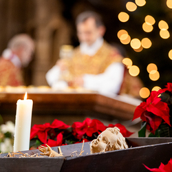 Stephanifest / Erzdiözese Wien/Schönlaub, Stephan Schönlaub