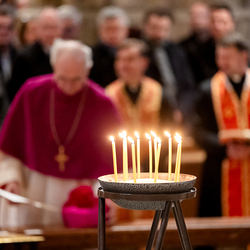 Erzdiözese Wien/ Schönlaub, Stephan Schönlaub