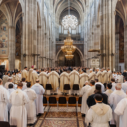 Diakonenweihe 2024 / Erzdiözese Wien/ Schönlaub