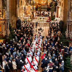 Stephanifest / Erzdiözese Wien/Schönlaub, Stephan Schönlaub