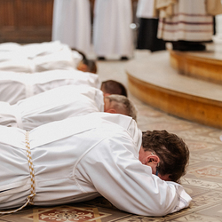 Diakonenweihe 2024 / Erzdiözese Wien/ Schönlaub