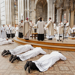 Diakonenweihe 2024 / Erzdiözese Wien/ Schönlaub