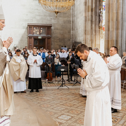 Diakonenweihe 2024 / Erzdiözese Wien/ Schönlaub