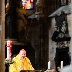 Priesterjubiläen / Erzdiözese Wien/Schönlaub