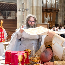 Priesterweihe Byzantinischer Ritus im Stephansdom / Erzdiözese Wien/ Schönlaub