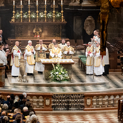 Allerheiligen Stephansdom