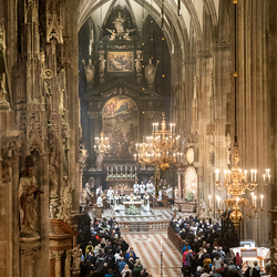 Allerseelen Requiem im Stephansdom / Erzdiözese Wien/Schönlaub, Stephan Schönlaub Allerseelen Requiem im Stephansdom